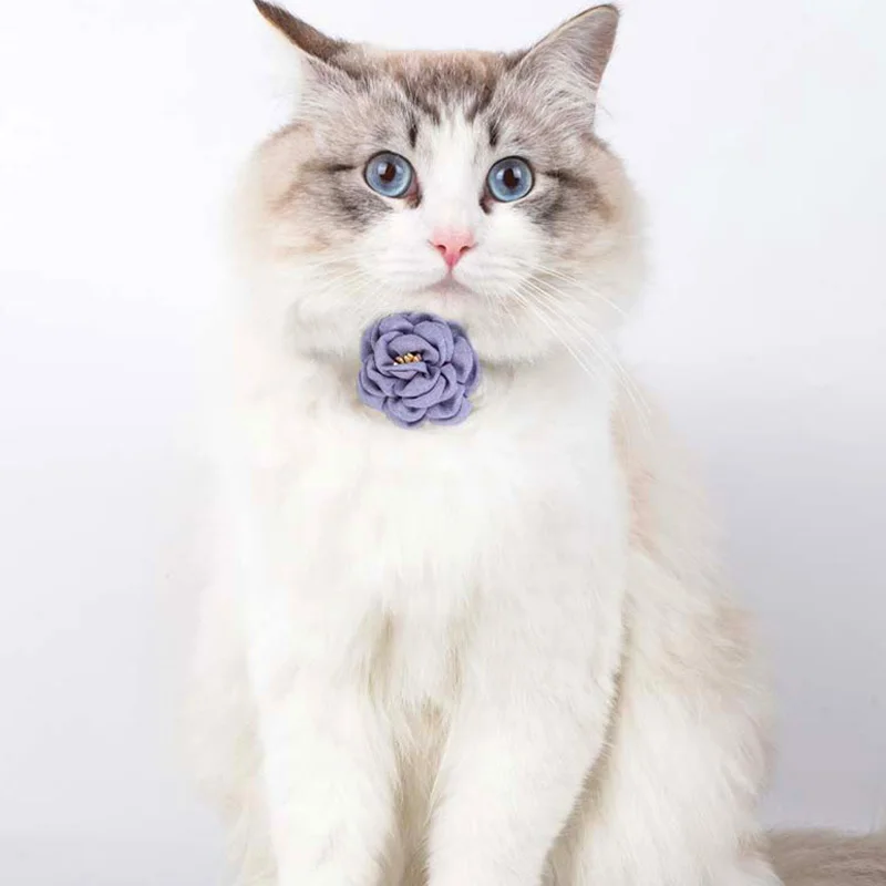 Бутон 1 бр. нашийник за котки, регулируема папийонка котка цвете сигурност яка, вратовръзка колие куче и котка подарък, домашен любимец, аксесоари кученце яка