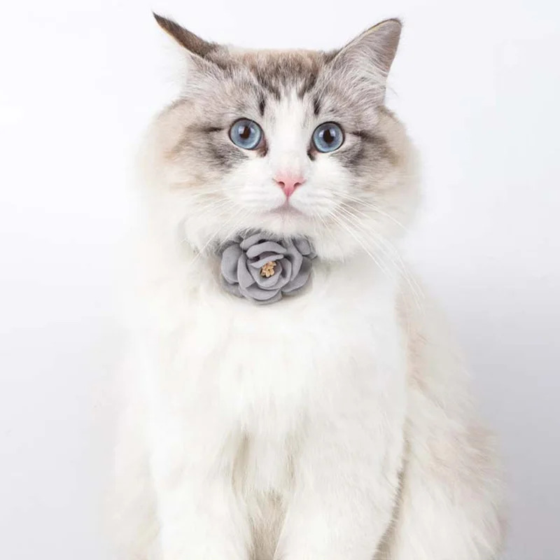 Бутон 1 бр. нашийник за котки, регулируема папийонка котка цвете сигурност яка, вратовръзка колие куче и котка подарък, домашен любимец, аксесоари кученце яка